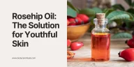 Rosehip Oil: The 2025 Solution for Youthful Skin